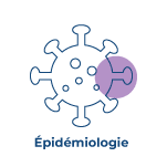 Icon Epidémiologie